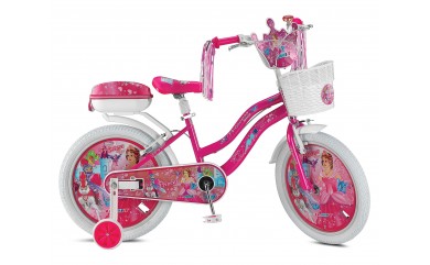 2008 PRINCESS